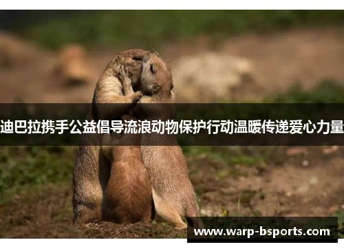 迪巴拉携手公益倡导流浪动物保护行动温暖传递爱心力量