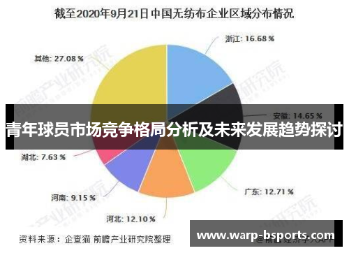 青年球员市场竞争格局分析及未来发展趋势探讨 青年球员市场竞争格局分析及未来发展趋势探讨